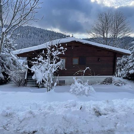 Vila Chalet Situe Au Grand Valtin Ban-sur-Meurthe-Clefcy Exteriér fotografie