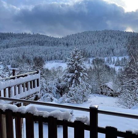 Vila Chalet Situe Au Grand Valtin Ban-sur-Meurthe-Clefcy Exteriér fotografie