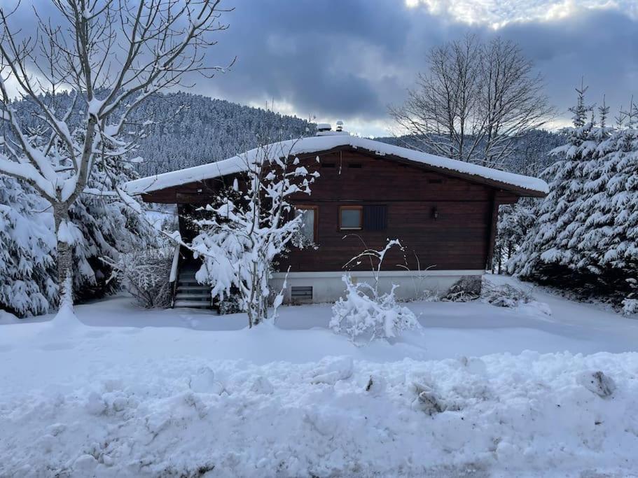Vila Chalet Situe Au Grand Valtin Ban-sur-Meurthe-Clefcy Exteriér fotografie