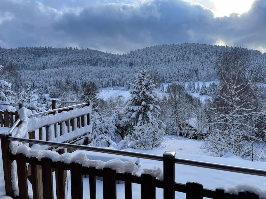 Vila Chalet Situe Au Grand Valtin Ban-sur-Meurthe-Clefcy Exteriér fotografie